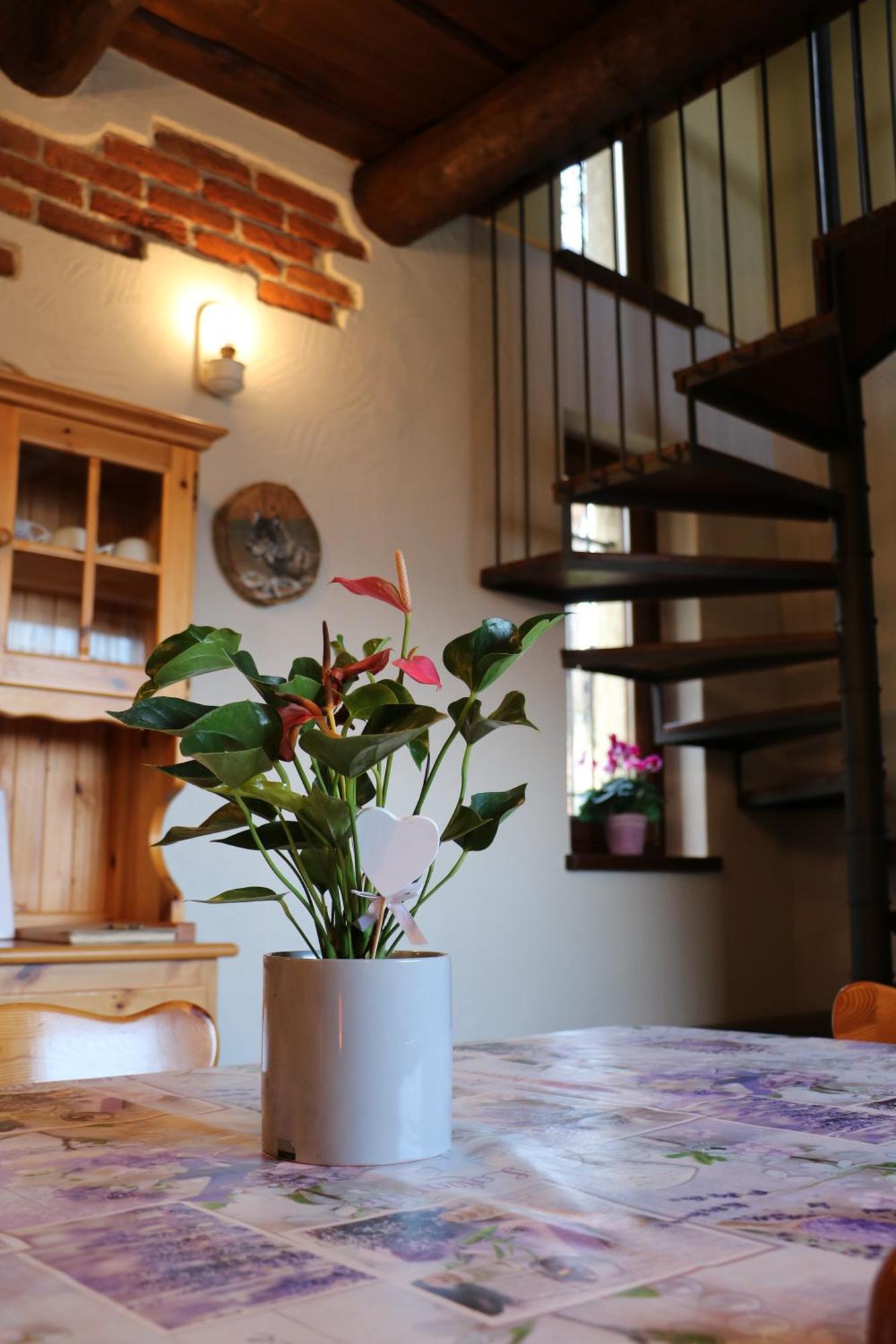 Casa Vacanze Le Primule Peveragno Zewnętrze zdjęcie