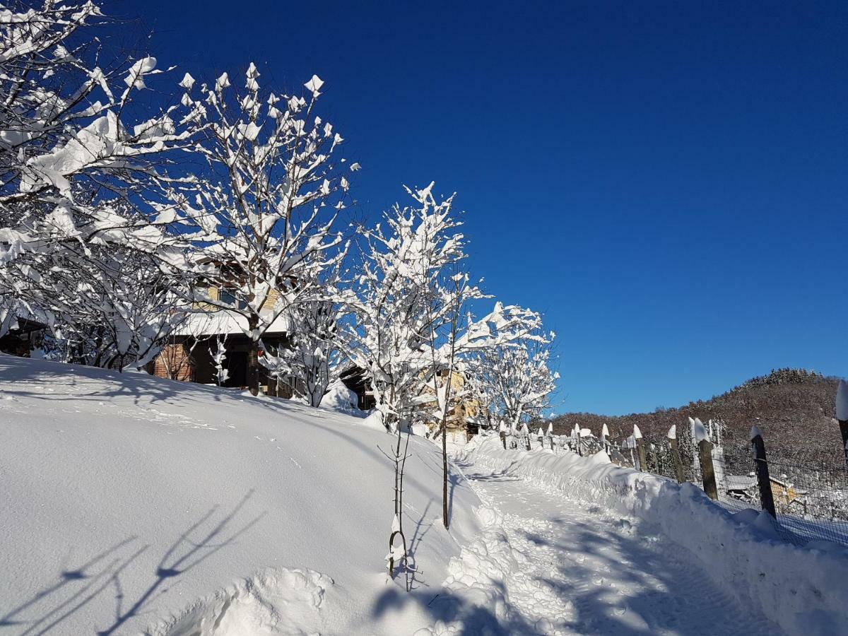 Casa Vacanze Le Primule Peveragno Zewnętrze zdjęcie