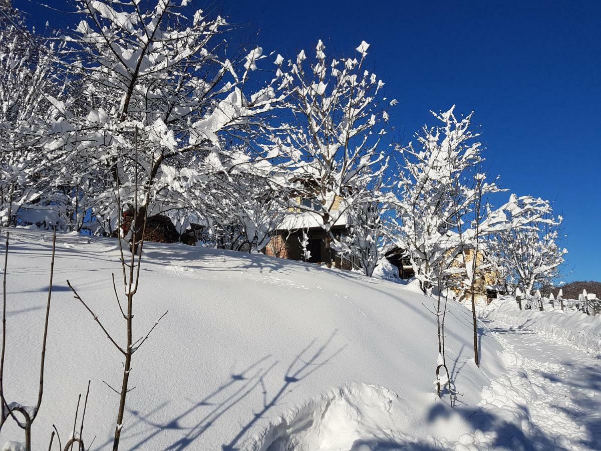 Casa Vacanze Le Primule Peveragno Zewnętrze zdjęcie